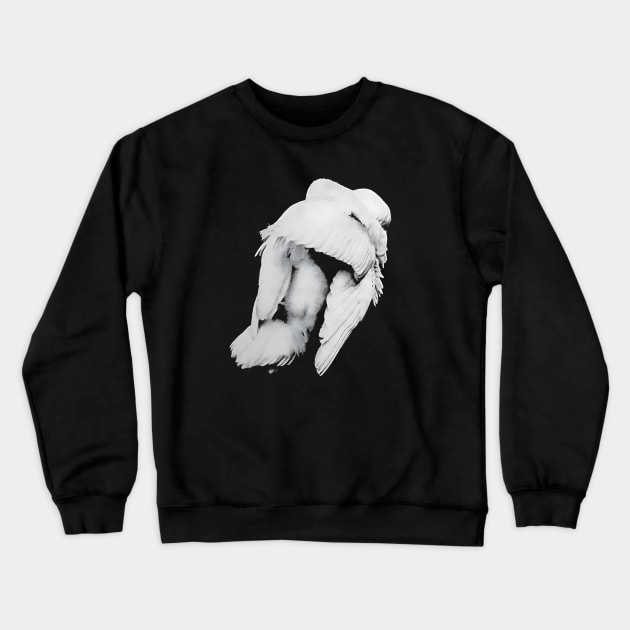 Animus Crewneck Sweatshirt by Summersg Randyx